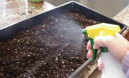 Felkészülés a talaj ültetésre paprika, paradicsom és uborka