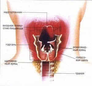 Sufocarea după un accident vascular cerebral sau luarea de mâncare