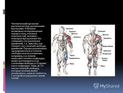 Презентація на тему фізика і футбол футбол