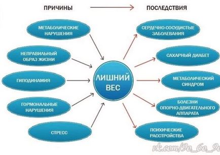 Cauzele excesului de greutate 1