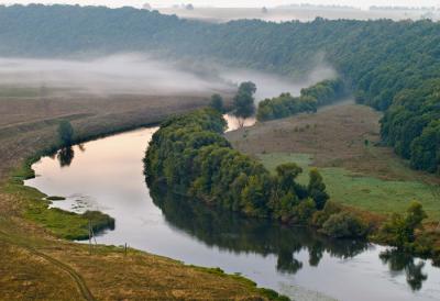 Natură, plante și animale din regiunea Tula