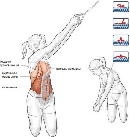 Programul exercițiilor de înot este un nivel intermediar - un set de exerciții speciale