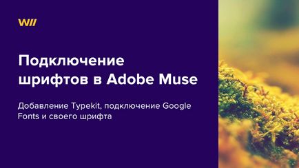 Просте підключення шрифтів в adobe muse, данил Фімушкін