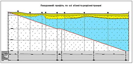 Proiect de carieră de lucru