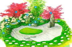 Plante pentru selectarea grădinii japoneze de lemn și ierburi, simbolism