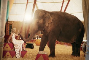 Revizuirea filmului de apă pentru elefanți! (Apă pentru elefanți), un film cinematografic cu caracter