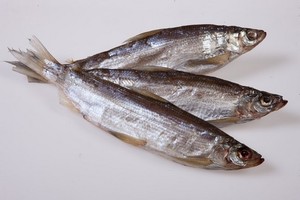 Rețete de gătit vendace la domiciliu