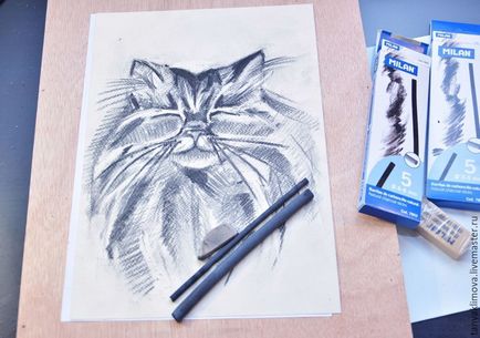 Desenați un portret de cărbune de pisică - târg de maeștri - manual, manual