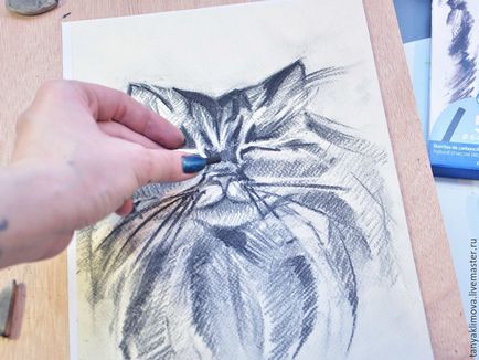 Малюємо вугіллям портрет кота - ярмарок майстрів - ручна робота, handmade