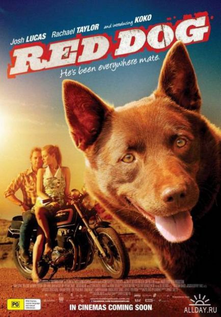 Red Dog