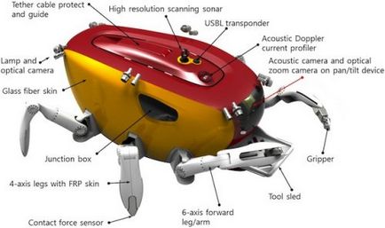 Crab Robot