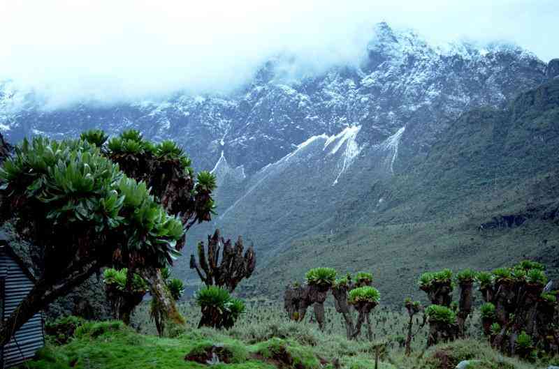 Ruwenzori este cel mai mare munte al continentului african