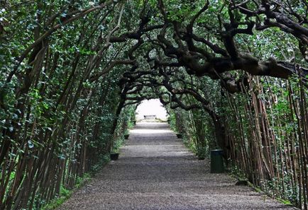 Boboli Gardens