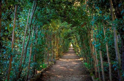 Boboli Gardens Firenze, történelem, nyitvatartási és hogyan kell elérni