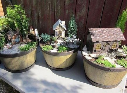 Grădinile în miniatura cum să faci o grădină mică cu mâinile lor și ce sunt - viața mea