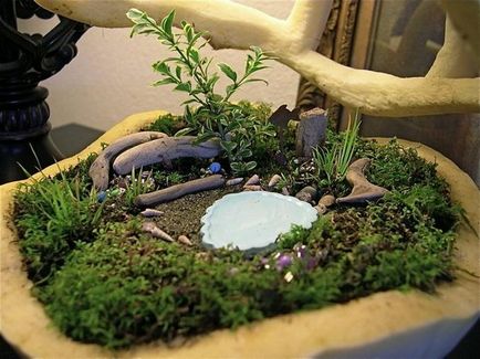 Сади в мініатюрі як зробити міні-сад своїми руками і які вони бувають - my life