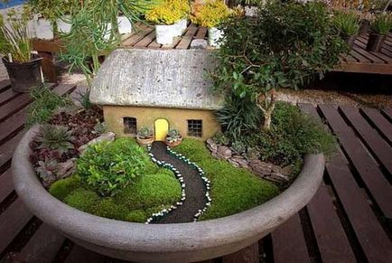 Grădinile în miniatura cum să faci o grădină mică cu mâinile lor și ce sunt - viața mea