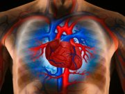 Серцева недостатність - народна медицина - рецепти народної медицини і нетрадиційні методи
