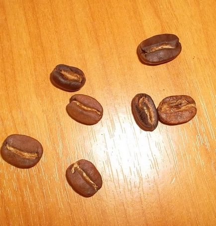 Сію насіння аравійського кави, таніну дача