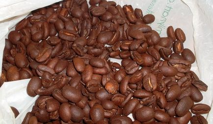 Semințe semințe de cafea arabă, cabana de tanin