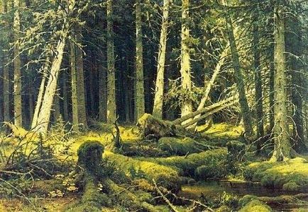 Shishkin picturi