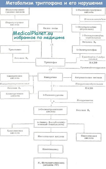 Синдроми блакитних пелюшок, тада, прайса - прояви, механізми розвитку