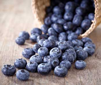 Blueberry sirop cumpara sirop de afine pret gratuit transport maritim