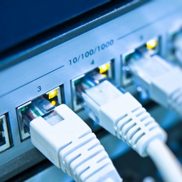 Viteza Internet pentru a alege un cablu pentru o rețea locală, o descriere a rețelelor de perechi răsucite, pisică, Ethernet