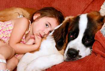 Собака для дитини породи собак для дітей яку собаку вибрати для дитини найкраща собака для дитини