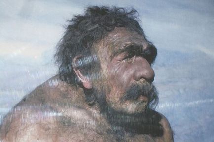 Câinii au ajutat oamenii să învingă pe neanderthali