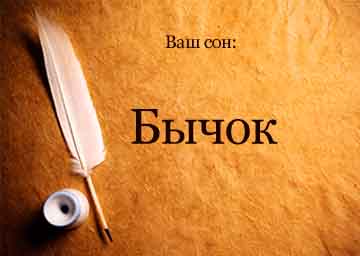 Сонник бичок молодий маленький жінці уві сні до чого сниться