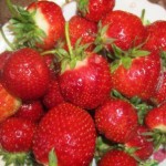 Mijloace de tratament primar de căpșuni de la dăunători și boli