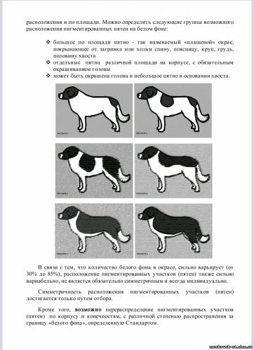 A fajta standard moszkvai őrkutya (RKF) - Moszkva őr - rock szabványok - katalógus