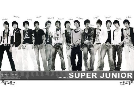 Super junior (супер джуніор) •