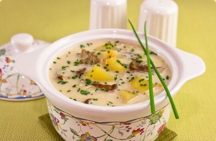 Supă de pui - rețete delicioase cu fotografii și videoclipuri