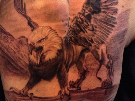 Tattoo griffin - adică, schițe și fotografii de tatuaje