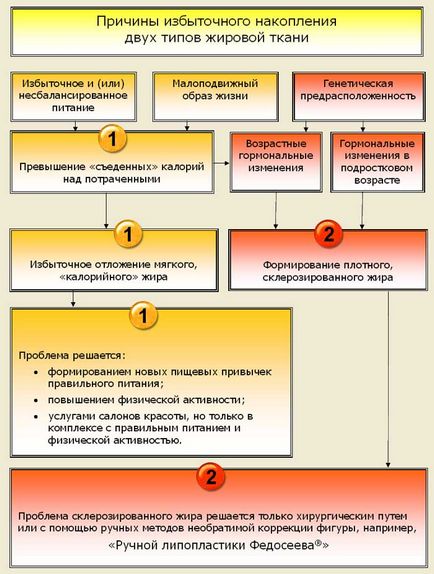 Типи жирової тканини, що формують фігуру