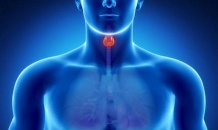 Thyreoiditis - tünetek és kezelés (thyroiditis) Thyreoiditis - tünetek és kezelés