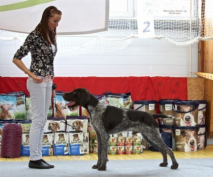 Repetiția Tver în ajunul show-ului principal de câine din Rusia