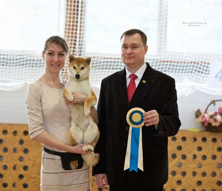 Тверська репетиція напередодні головної собачої виставки росії