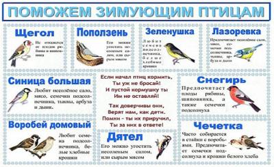 Урок навколишнього світу на тему «птиці взимку» (2 клас)