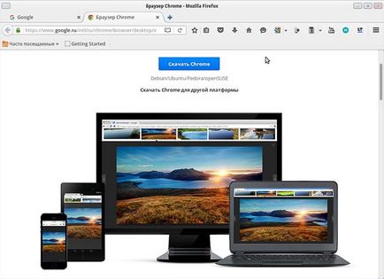 Instalarea browserului Chrome Chrome în xubuntu lts