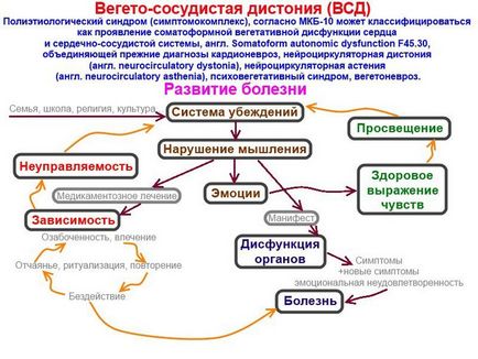 Вегето-судинна дистонія (ВСД) - шпаргалки для швидкої допомоги