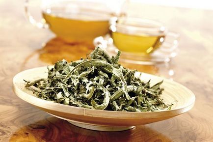 Verbena tea használják a tradicionális gyógyászatban, a legjobb receptek