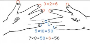 Tipuri de multiplicare, proiecte