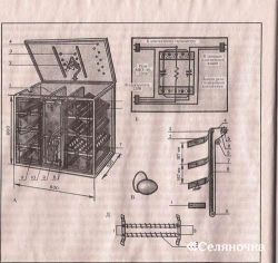 Retragerea găinilor într-un incubator - seljanochka - portal pentru agricultori, agricultură, animale,