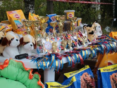 Вся палітра порід фоторепортаж з виставок собак в Сахарове - зоотверь - товариський довідково -