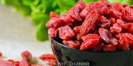 Goji fructe de padure - compoziție, proprietăți utile și contraindicații - gama de cunoștințe