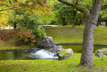 Gradina japoneza din orasul belgian Hasselt