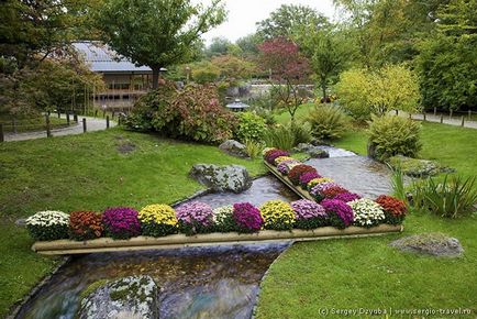 Gradina japoneza din orasul belgian Hasselt